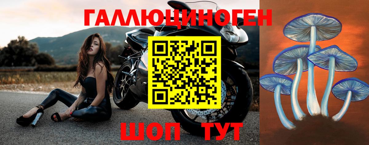 Псилоцибиновые грибы мухоморы  Вход с VPN  Северобайкальск  Галлюциногенные грибы Psilocybe 
